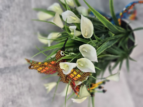 Tratamiento para atraer el amor